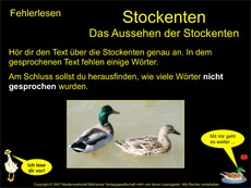 2-Fehlerlesen-Stockente-Aussehen.pdf